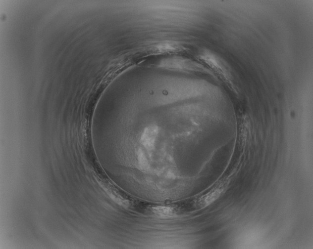 X0000067350265200604030941