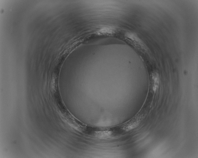 X0000067350266200604030941