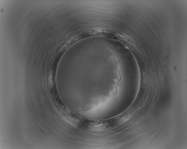 X0000067350267200604030941