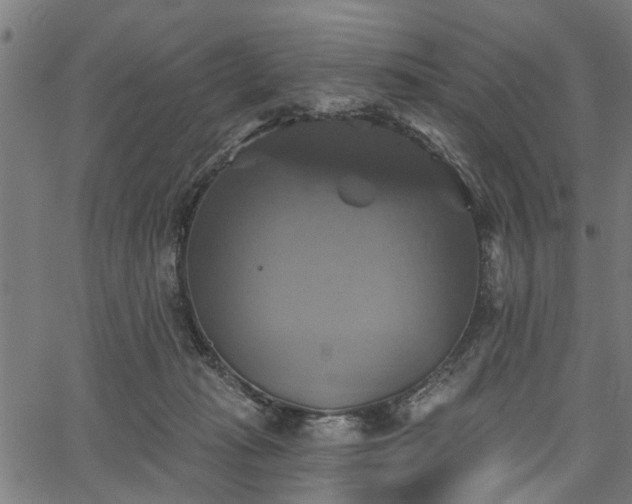 X0000067350269200604030941