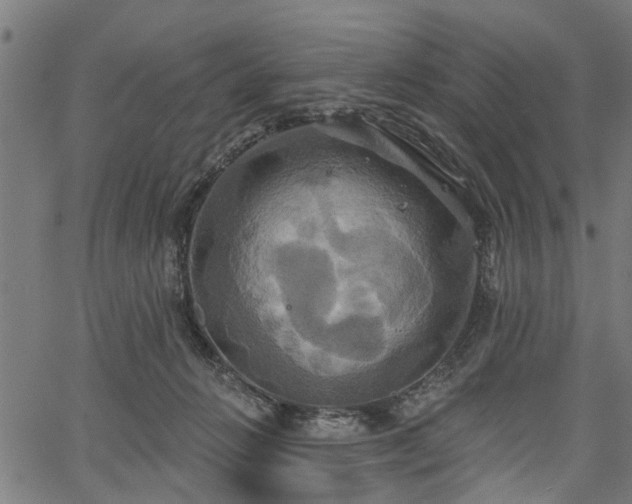 X0000067350270200604030941