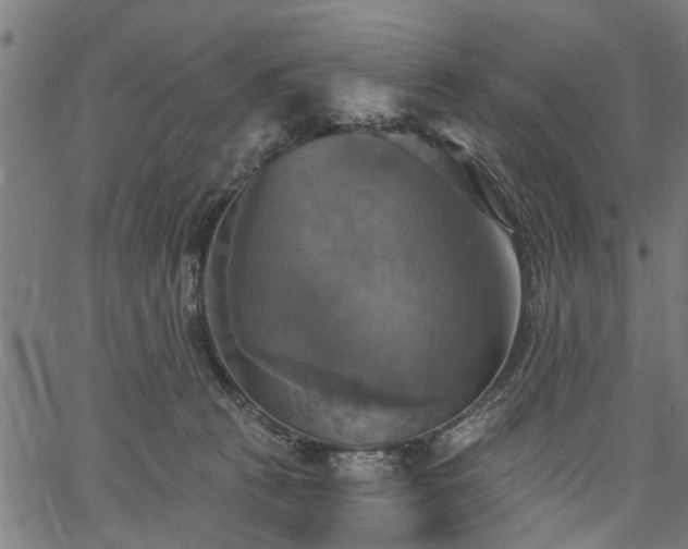 X0000067350273200604030941