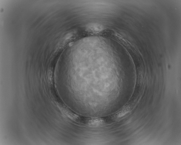 X0000067350274200604030941