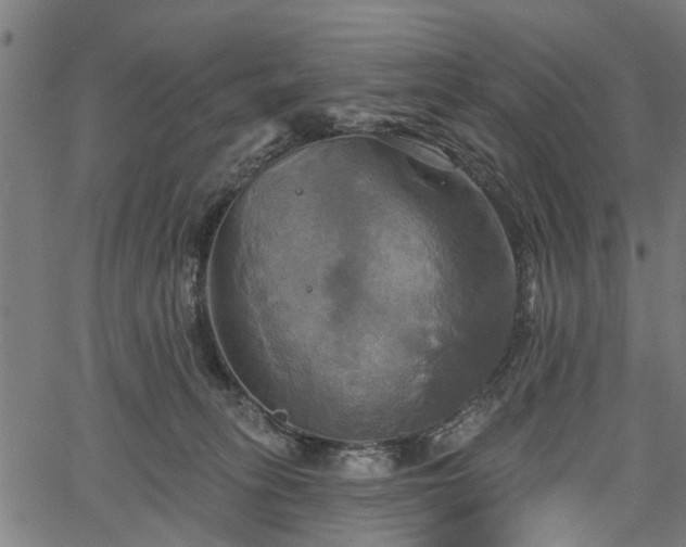 X0000067350275200604030941