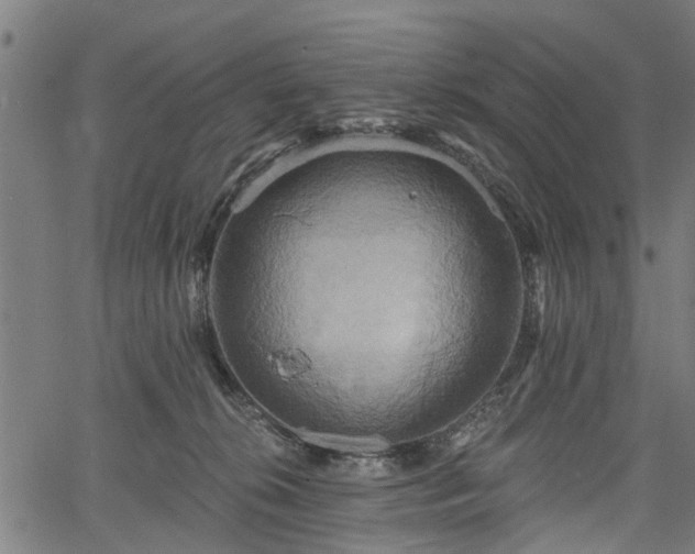 X0000067350276200604030941