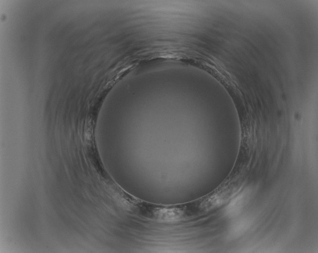 X0000067350277200604030941