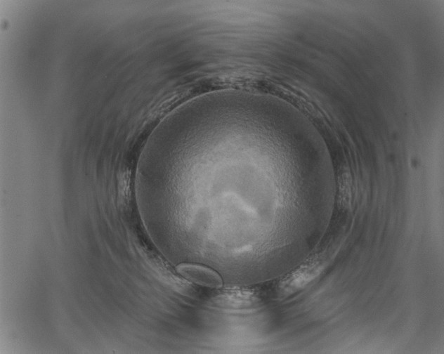 X0000067350278200604030941