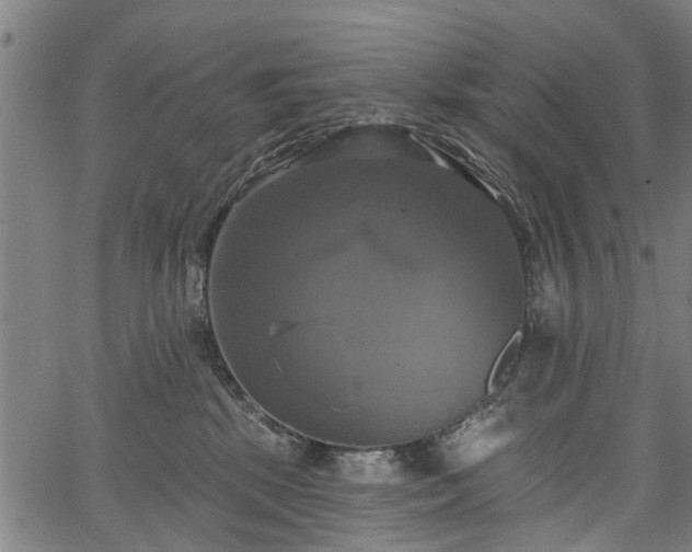 X0000067350281200604030941