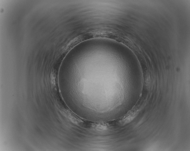 X0000067350282200604030941