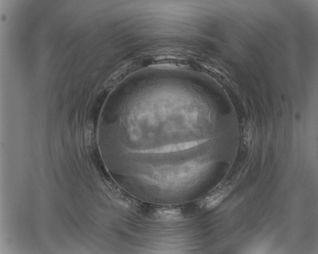 X0000067350283200604030941