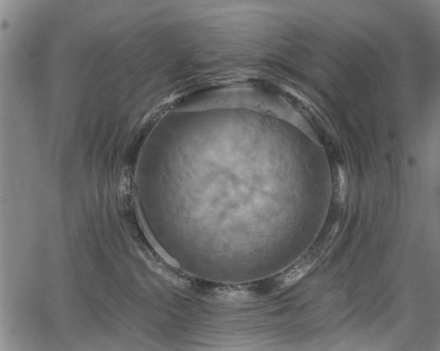 X0000067350284200604030941