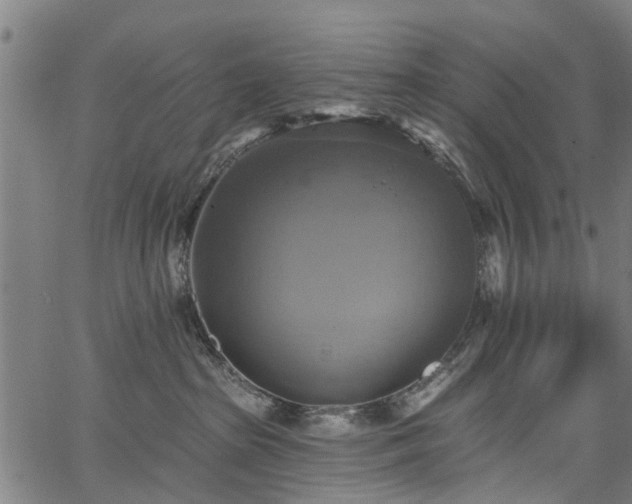 X0000067350285200604030941