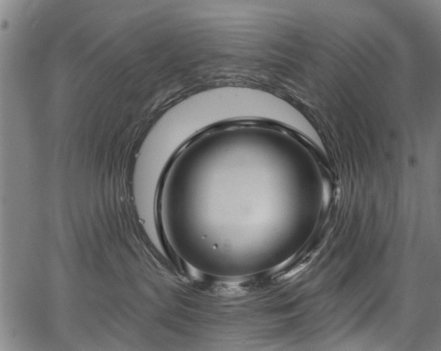 X0000067350287200604030942