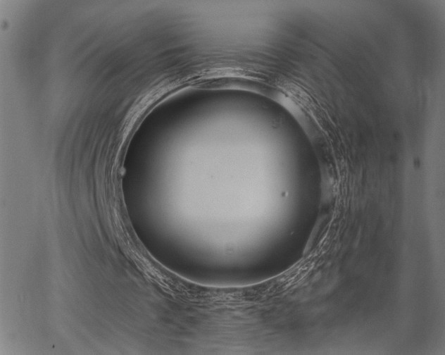 X0000067350289200604030941