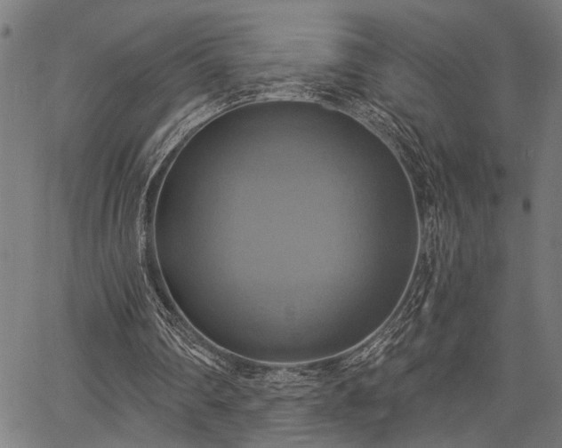 X0000067350290200604030941