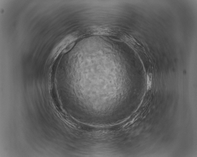 X0000067350291200604030941