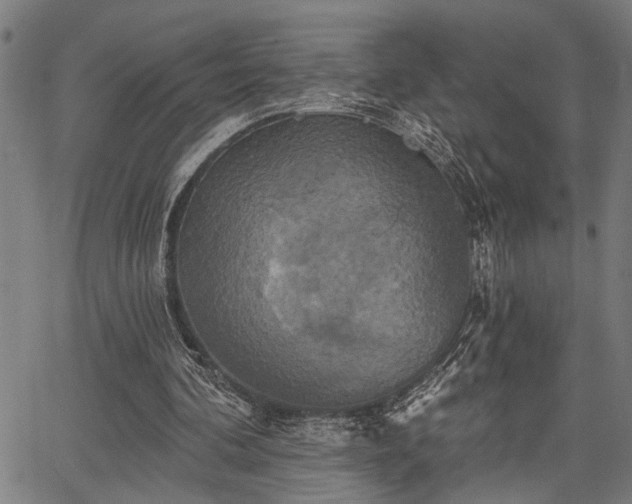 X0000067350292200604030941