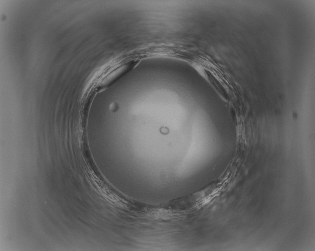 X0000067350293200604030941