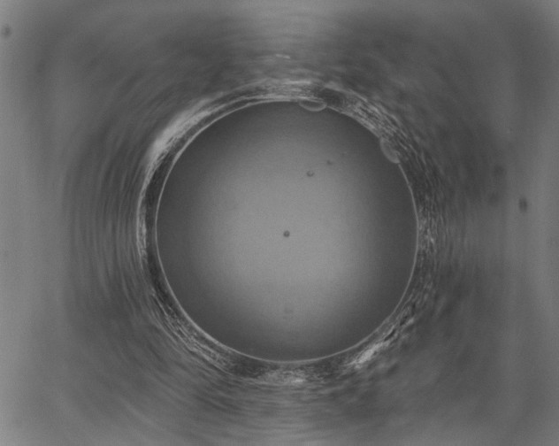 X0000067350294200604030941