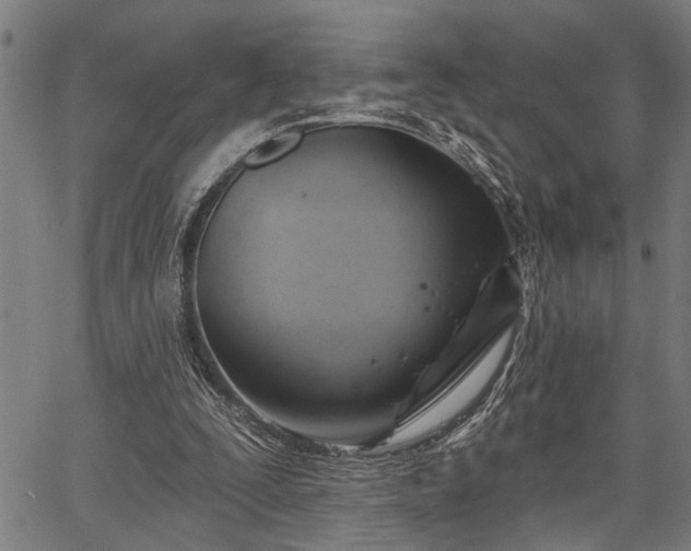 X0000067350295200604030941