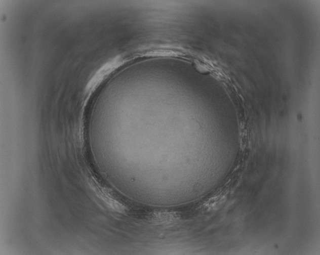 X0000067350296200604030941