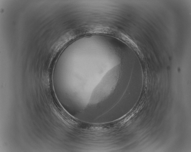 X0000067350298200604030941