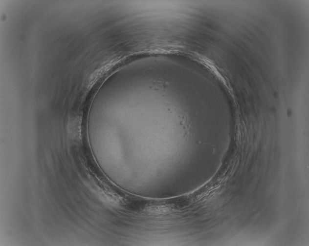 X0000067350299200604030941