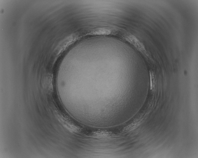 X0000067350300200604030941