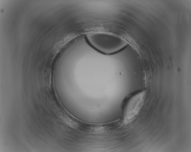 X0000067350301200604030941