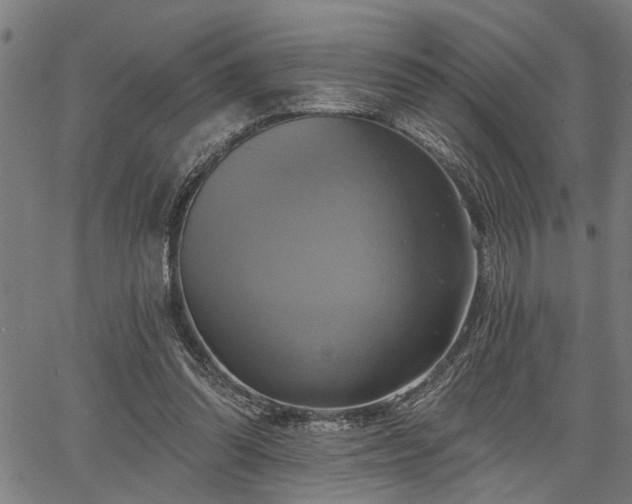 X0000067350302200604030941