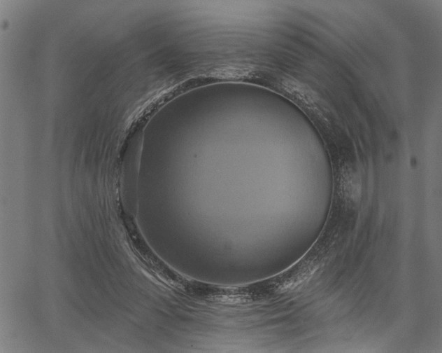 X0000067350303200604030941