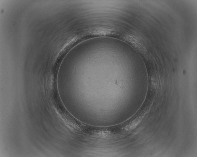 X0000067350304200604030941