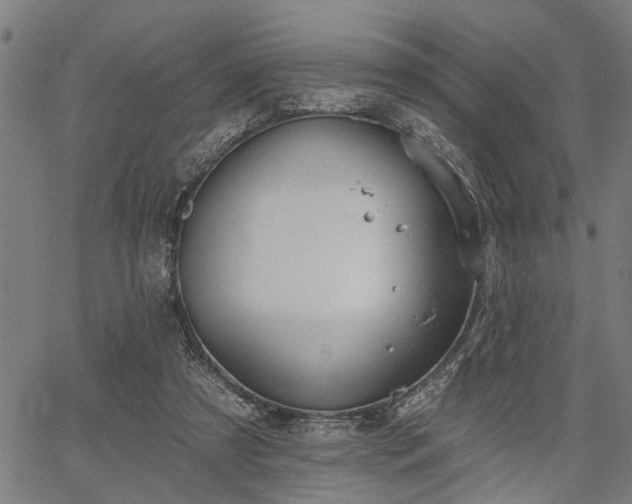 X0000067350305200604030941