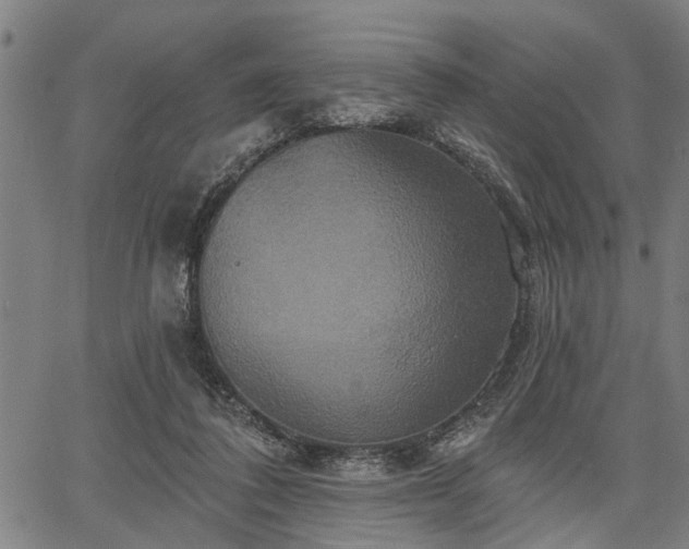 X0000067350308200604030940