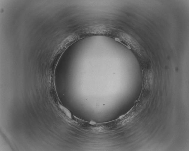 X0000067350309200604030940