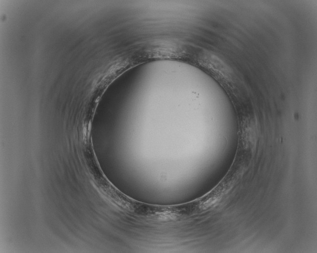 X0000067350310200604030940