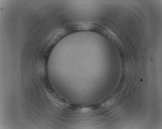 X0000067350312200604030940