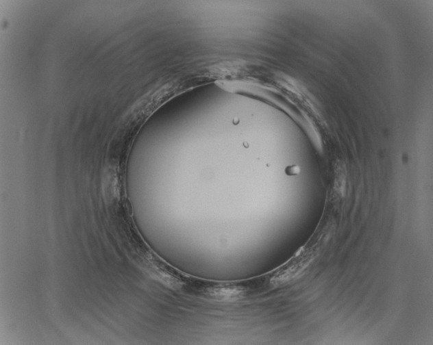 X0000067350313200604030940