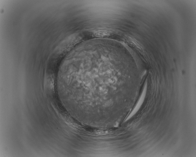 X0000067350315200604030940