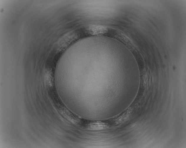 X0000067350316200604030940