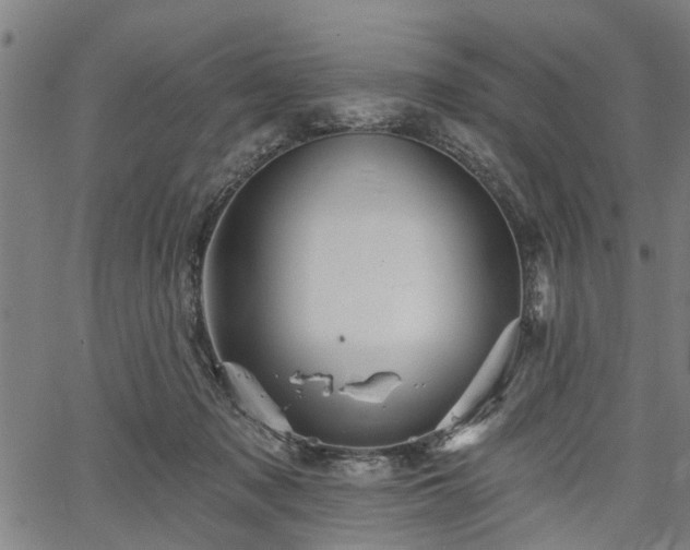 X0000067350317200604030940