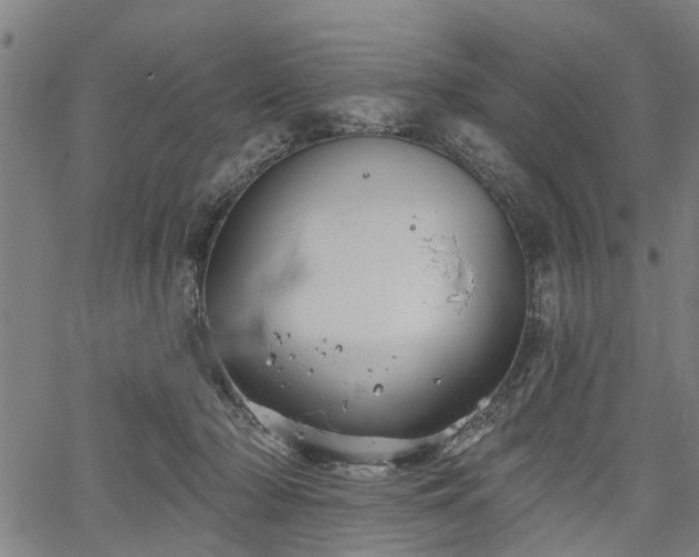 X0000067350318200604030940