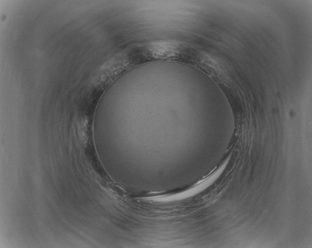 X0000067350319200604030940