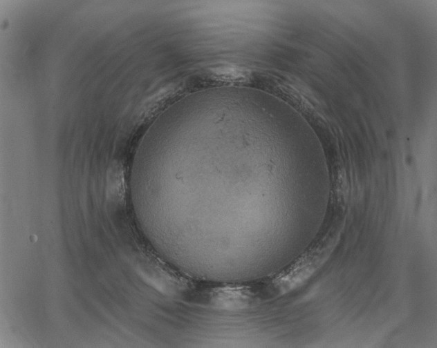 X0000067350320200604030940