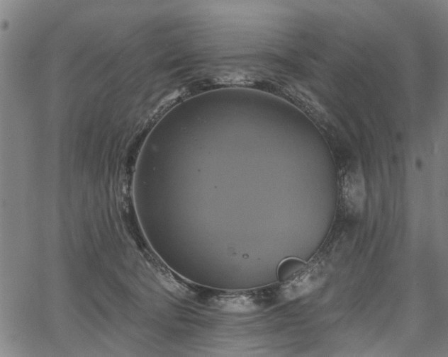 X0000067350322200604030940