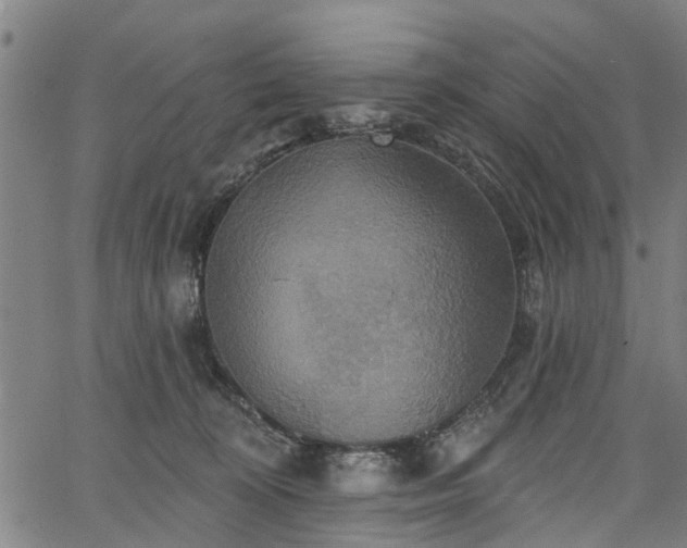 X0000067350324200604030940