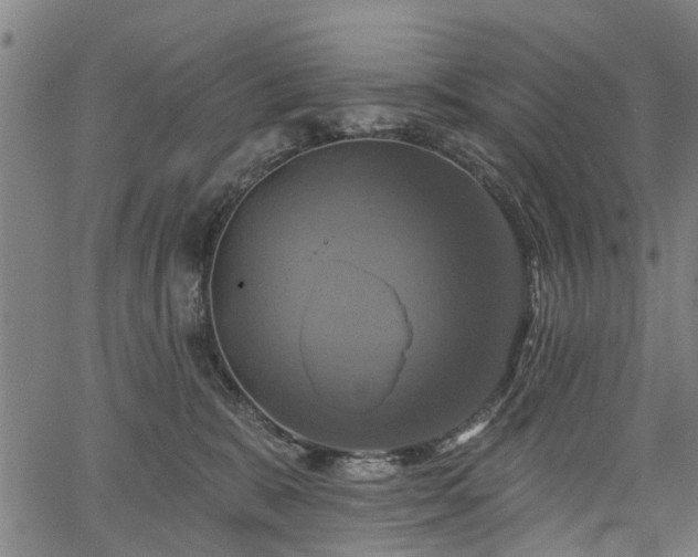 X0000067350327200604030940