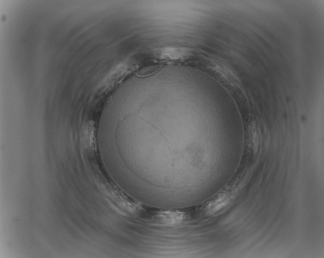 X0000067350328200604030940