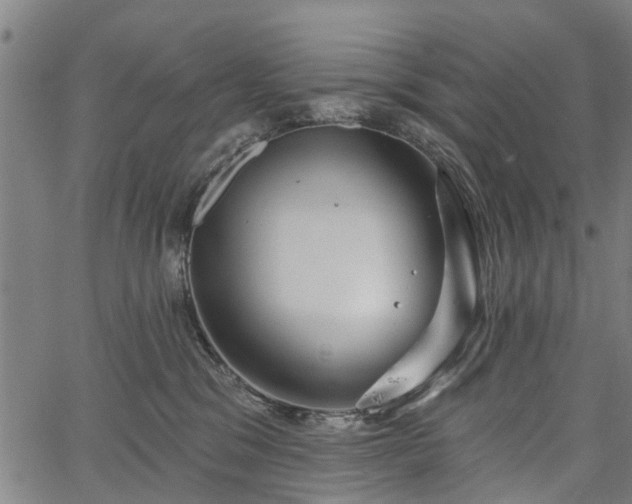 X0000067350329200604030940