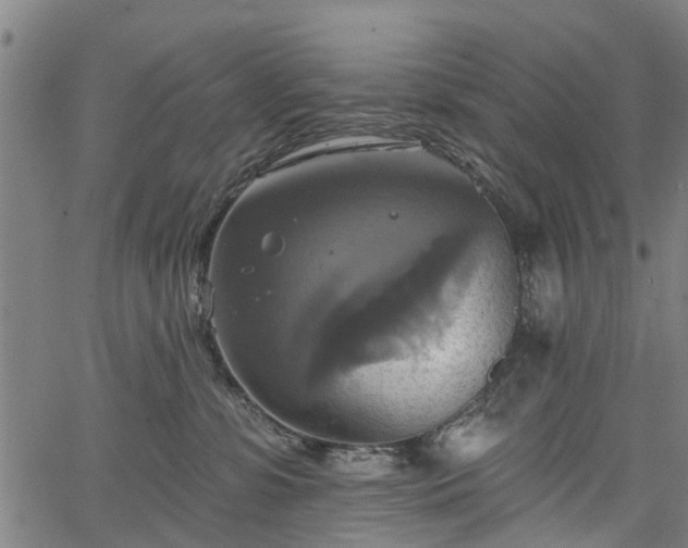 X0000067350331200604030940